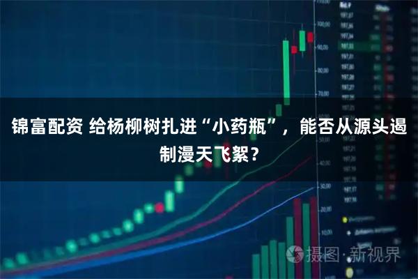 锦富配资 给杨柳树扎进“小药瓶”，能否从源头遏制漫天飞絮？